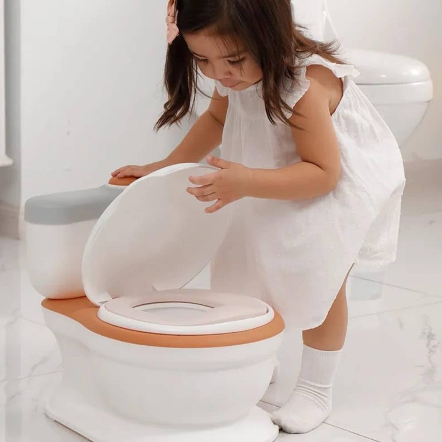 Potty Training Toilet