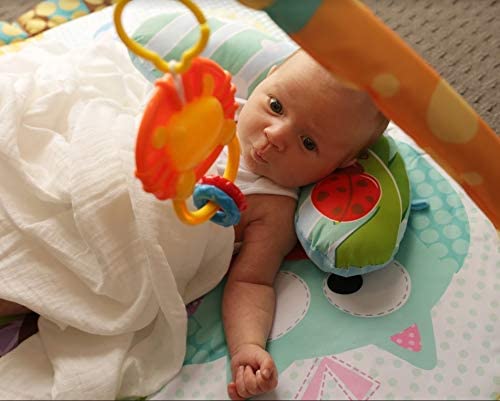 Baby Play Gym: image 4